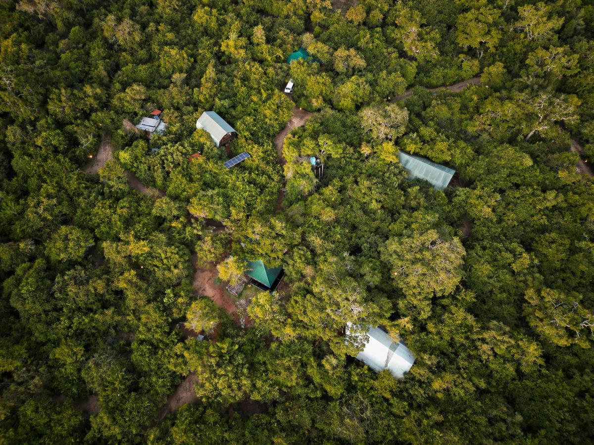 Leopard Reach Yala By Seven Angels Hotel Tissamaharama Luaran gambar